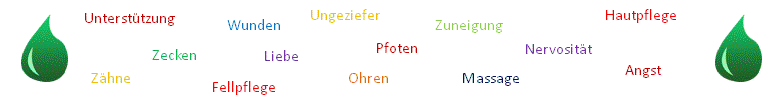 Hunde